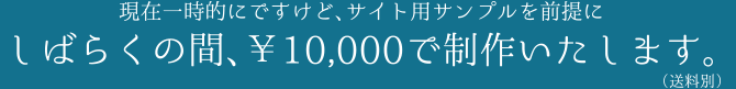 現在一時的にですけど、サイト用サンプルを前提にしばらくの間、￥10,000で制作いたします。